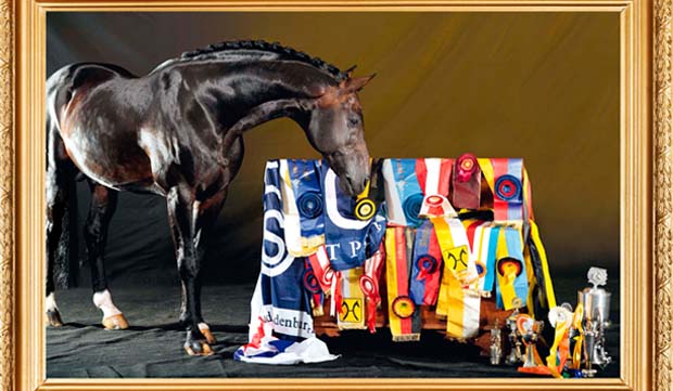 Classement WBFSH 2013. Le GFE aux places d'Honneur !