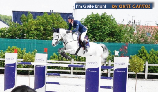 La production de QUITE CAPITOL s'illustre en CSI