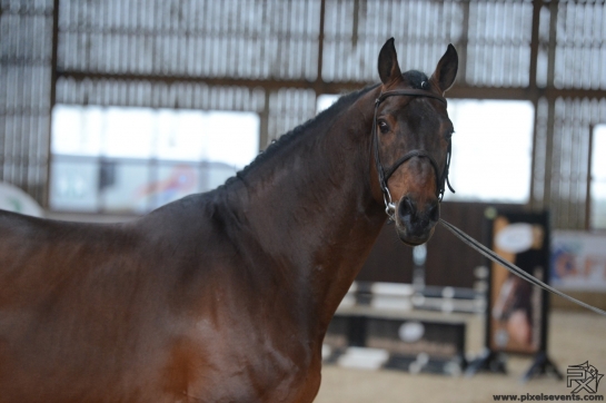 Vahinée de retour !