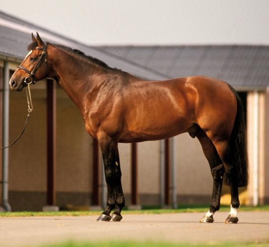 Lanaken : LUX et KANNAN dans le Championnat du monde des...