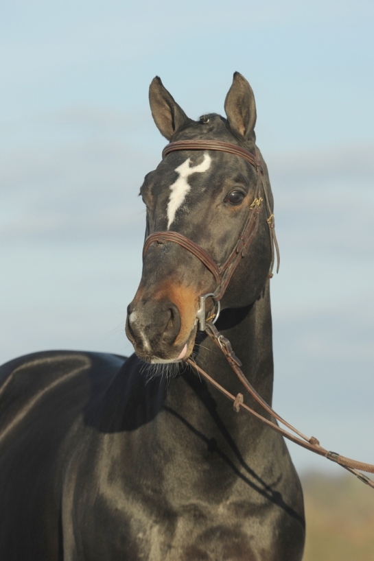 2 KANNAN s in the Grand Prix in Aachen and a 3rd place...