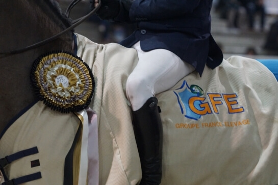 New record with more than 250 winners for the GFE!