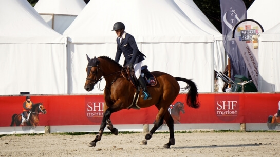 CICAVE DU TALUS WINS THE 6 YEARS OLD!