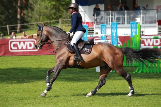 CONSUL : Père et fils à Fontainebleau !