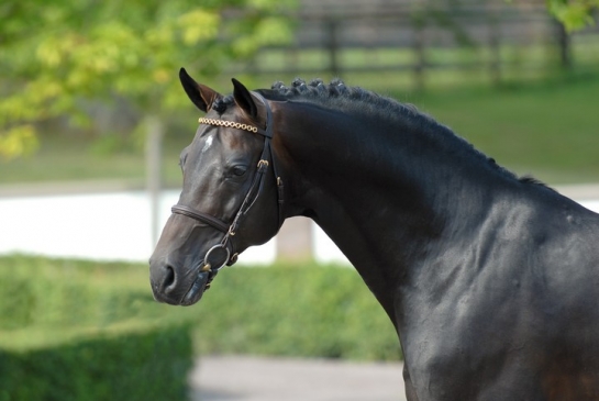 2 KANNAN's in the Grand Prix in Aachen and a 3rd place...