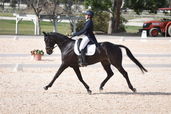 CONTENDRO el ganador en competencia de completo