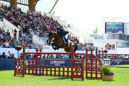 Varios productos de los sementales del GFE en la Copa de...