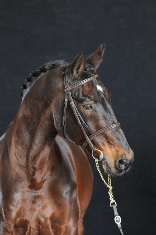 KANNAN y CORNET siempre al top