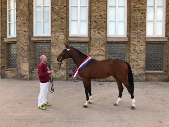 Label PREMIUM pour KANNAN x CONTENDRO à la Korung du...