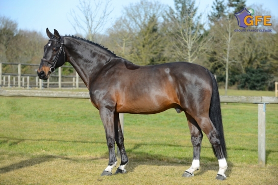 2 fantásticos fines de semana para los hijos de KANNAN!