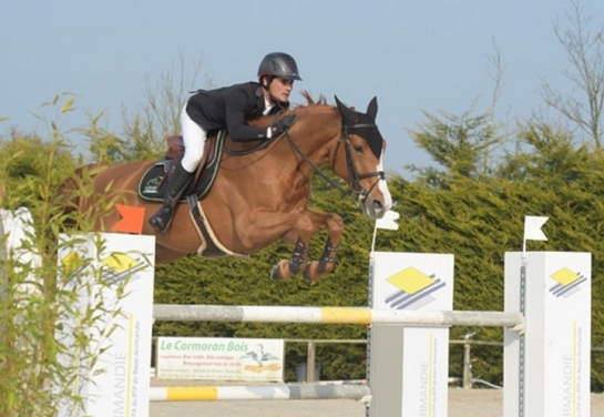 Les produits de LANDOR S, UGANO SITTE et NUMERO UNO à...