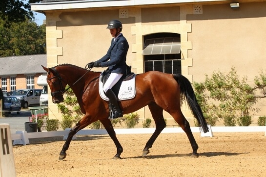 Les rayons de soleil de Pompadour !