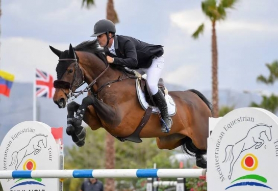 Les NUMERO UNO bourgeonnent !