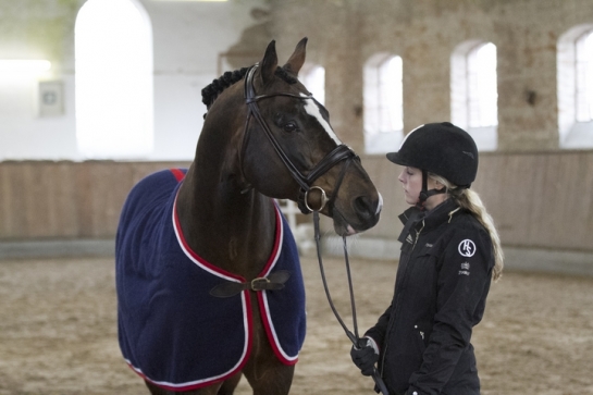 Orlando a terminé son tour du monde