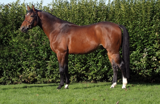 Un autre produit de Pezetas sur la scène internationale !