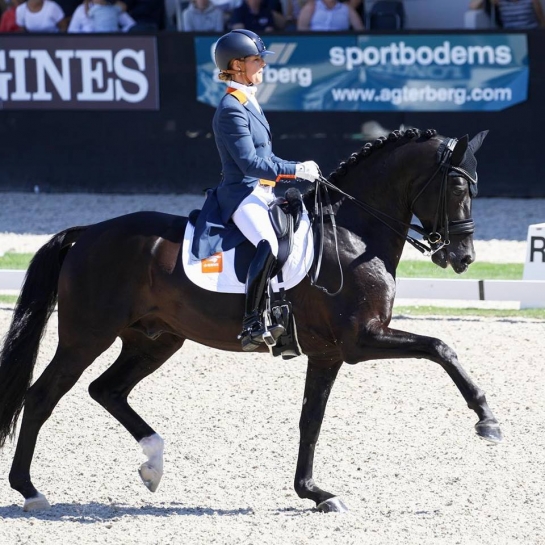 4 podiums à Ermelo 2018 !