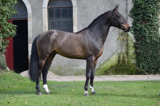 Les produits d'ULHAN à Lyon