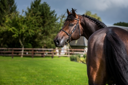 LES PRODUITS D'UP TO YOU RE-CONFIRMENT !