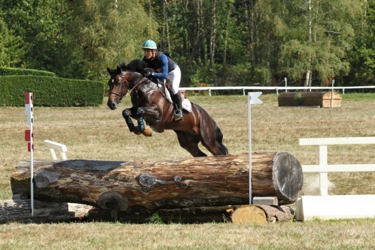 Les rayons de soleil de Pompadour !