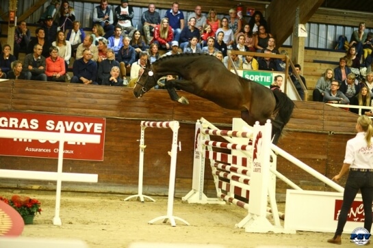 Les produits d'UP TO YOU aux ventes FENCES