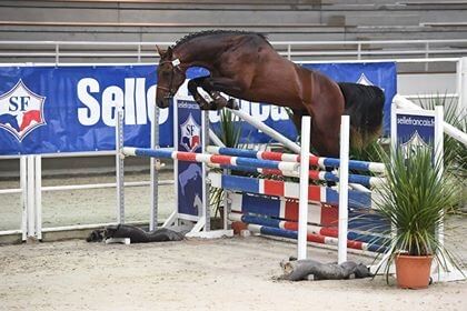 UP TO YOU offsprings at the summit! 