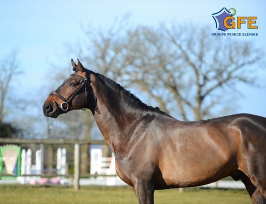  UP TO YOU and his production at the top!