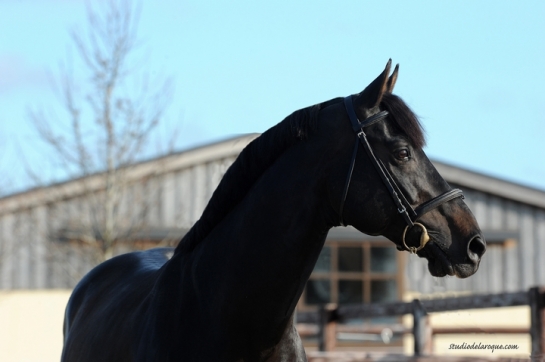 2 VLEUT à Kronenberg