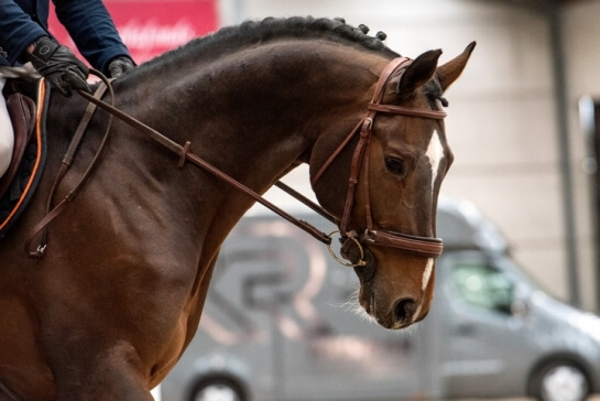 2020 : LES DERNIERES ACTUALITES DES PRODUITS DE BISQUET...
