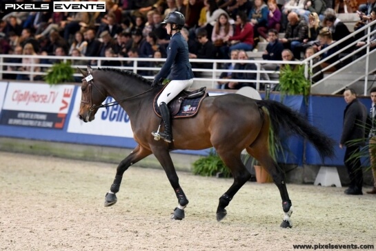 SALON DE ST LO 2019 : Millésime d'exception pour le GFE !