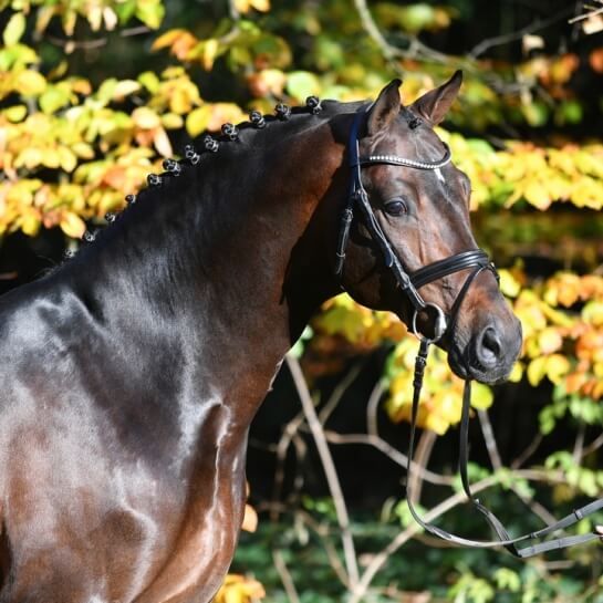 Conthargos : les générations qui montent 
