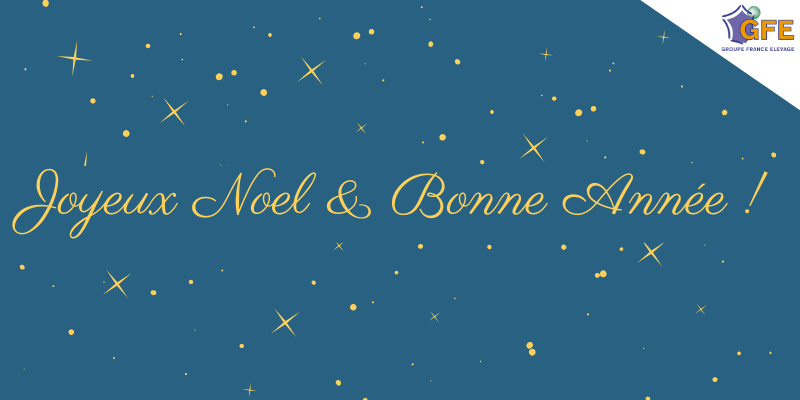 Groupe France Elevage Joyeux Noel Et Bonne Annee Actualites Groupe France Elevage Joyeux Noel Et Bonne Annee Actualites