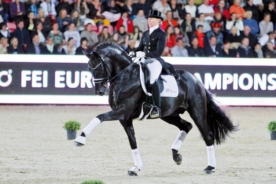 LES DERNIERES ACTUALITES DES PRODUITS DE FURSTENBALL