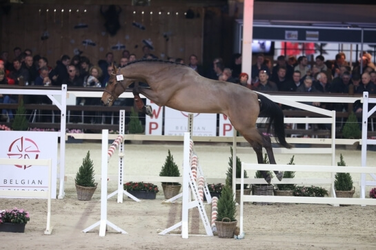 Approbation BWP, Comme il faut, Herald, Ugano !