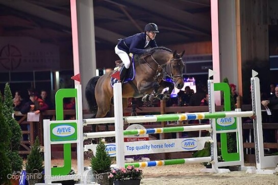 Un hijo de BISQUET BALOU Campeón de los 6 años en Bélgica