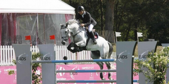 LES DERNIERES ACTUALITES DES PRODUITS DE NORMAN PRE NOIR