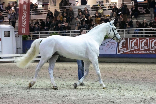 SALON DE ST LO 2019 : Millésime d'exception pour le GFE !