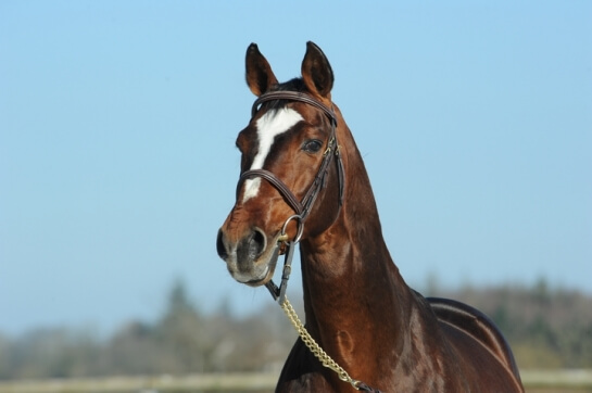 LES DERNIERES ACTUALITES DE QUNTUS