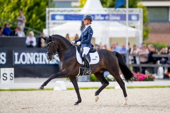 LES DERNIERES ACTUALITES DE TOTILAS