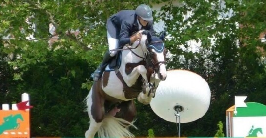 LES DERNIRES ACTUALITS DES PRODUITS DE TROUBADOUR D'AUREL