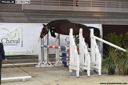 Les premières générations CANDY et VLEUT au top !