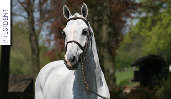 President's and Lauterbachs offsprings at international...