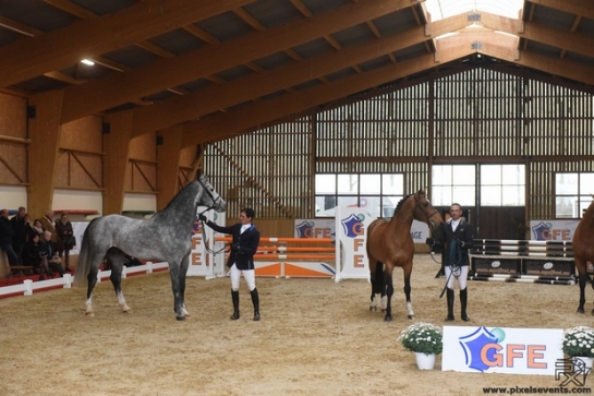 Great start for Excalibur and Amant