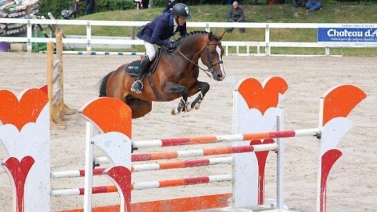 Consul dl Vie has won his first Grand Prix yesterday !