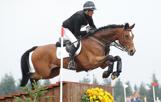 Tip Top d'Aix, 6e du GP dObglabeek