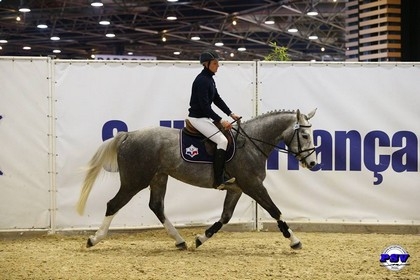 Championnat de France des 3 ans : PRESIDENT confirme...