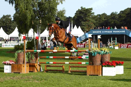 FONTAINEBLEAU : Cherie du Hautbois dans les 5 ans