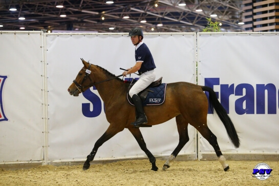 Championnat de France des 3 ans : 2 QUINTUS dans le TOP 10