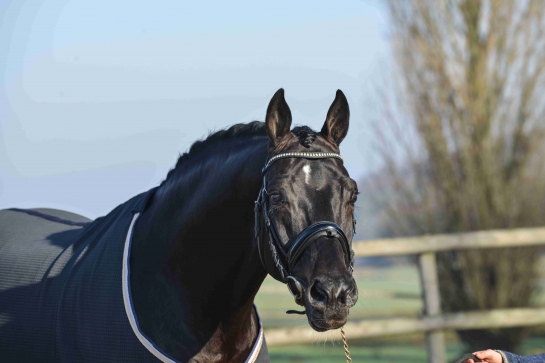 Choisir les meilleurs