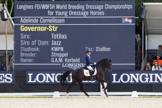 Championnats du Monde de Dressage : le GFE sinvite sur...