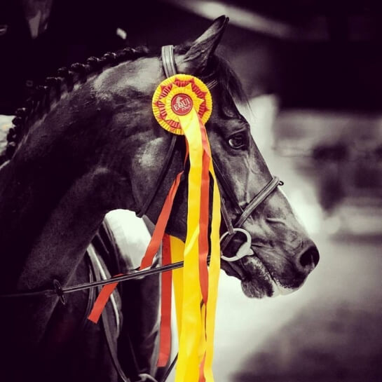 2020 : LES DERNIERES ACTUALITES DE CONSUL DL VIE